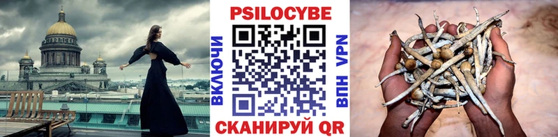 Галлюциногенные грибы Cubensis  Чёрмоз 